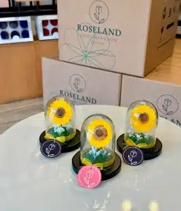 MASTER BOX OF 32 LITTLE LOVE SUNFLOWER