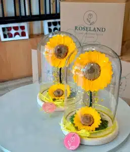 MASTER BOX OF 12 LOVELY SUNFLOWER