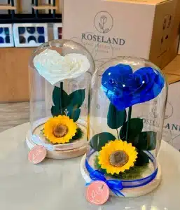 MASTER BOX OF 12 LOVING HEART MIX