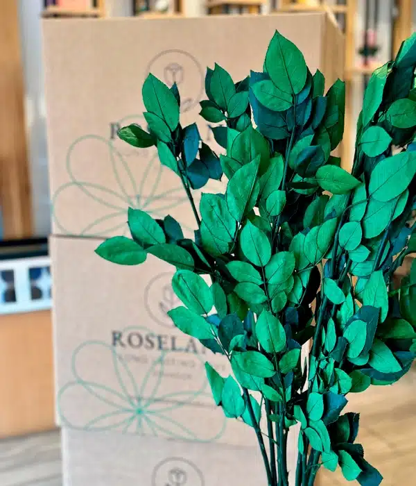 MASTER BOX OF 150 STEM - Roseland