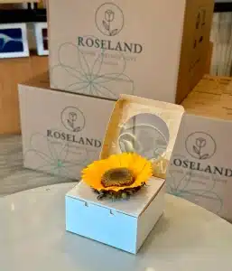 MASTER BOX OF 120 SUNFLOWERS FANCY