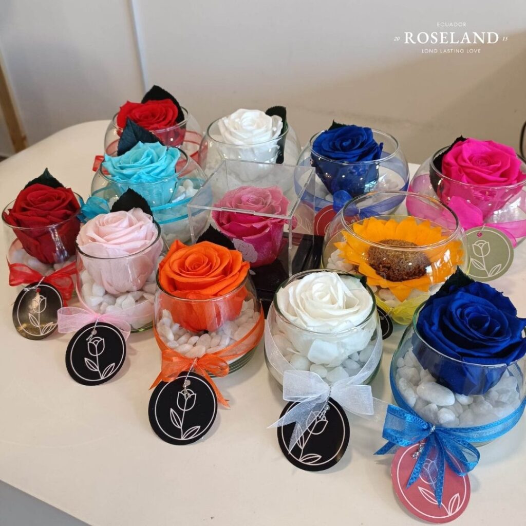 PECERAS DE ROSAS PRESERVADAS PARA REGALOS CORPORATIVOS - Roseland