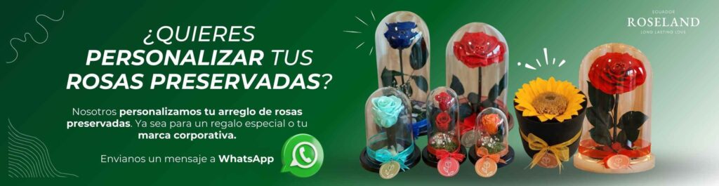 rosas preservadas para regalos - Roseland
