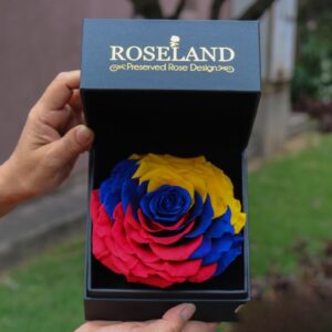 Diseno sin titulo 10 - Roseland