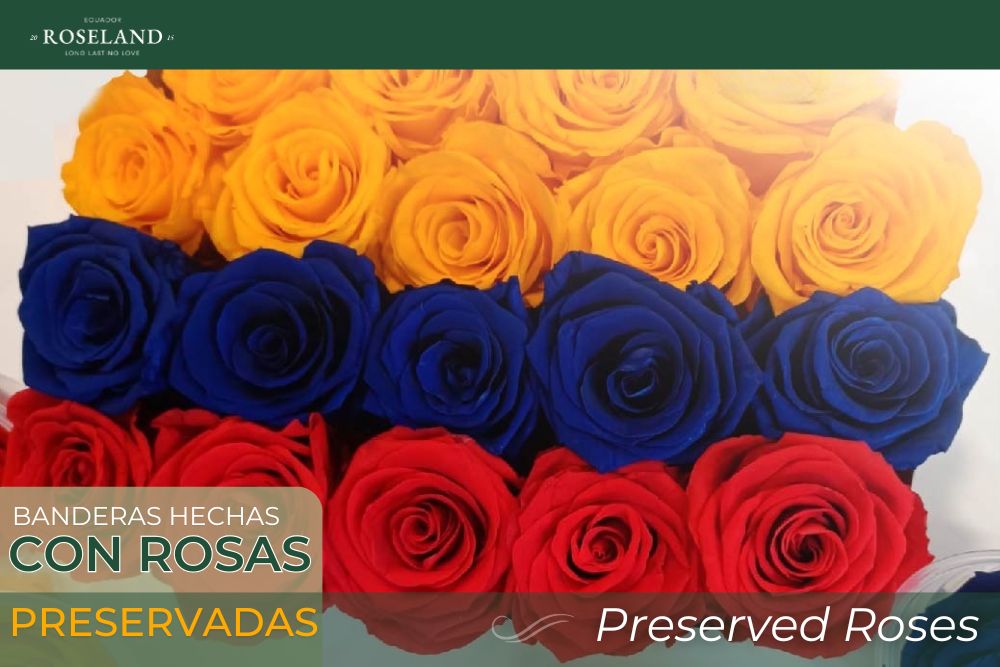 Banderas hechas con Rosas Preservadas