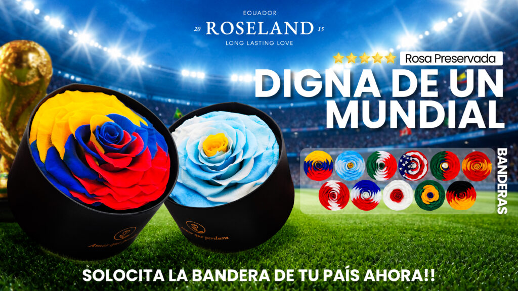 Rosas Preservadas Banderas.