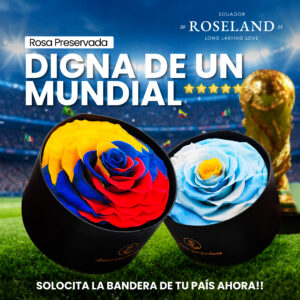Preserved roses of exportain 56 Rosa Preservada Jumbo - Edición Especial Banderas